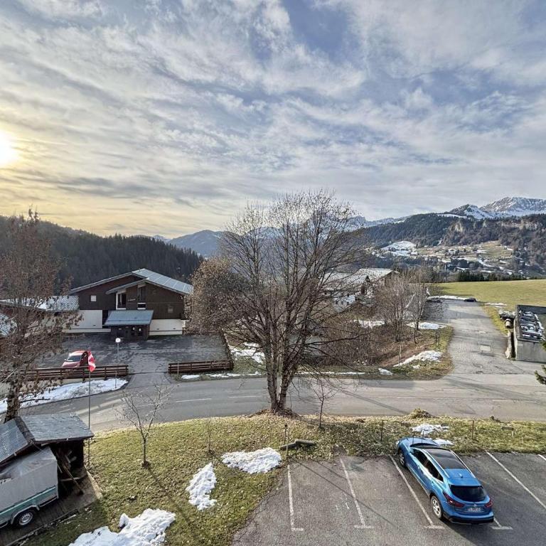 Appartement cosy avec mezzanine - 6 pers, proche village et pistes - Appartement 1 Chambre - 20