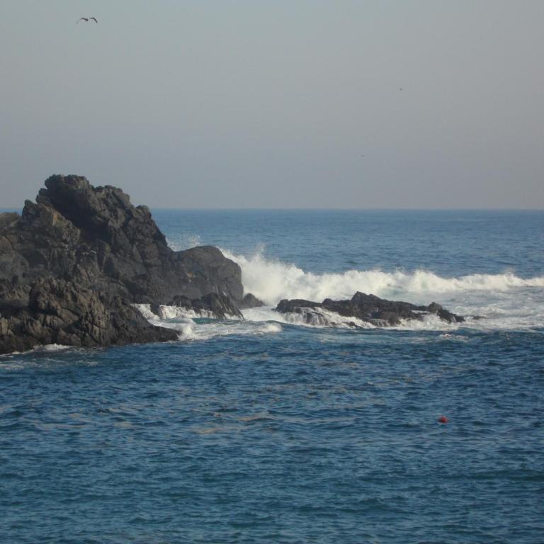 Vista y Mar - Apartamento Estudio con vistas al mar - 67