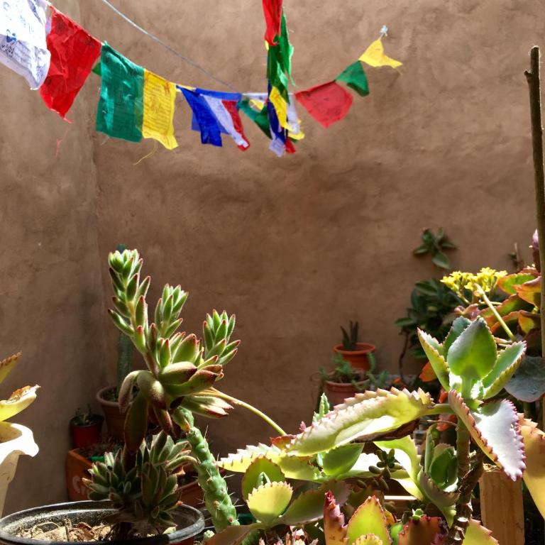 Casa Buika - One-Bedroom House - 16