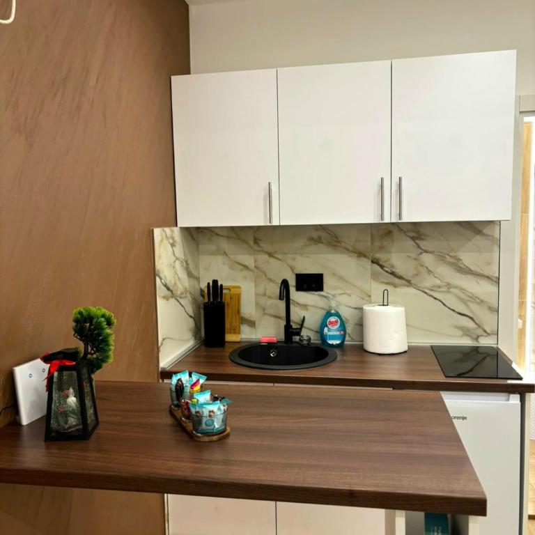 Apartman Andrijana - Apartman sa 1 Spavaćom Sobom - 12