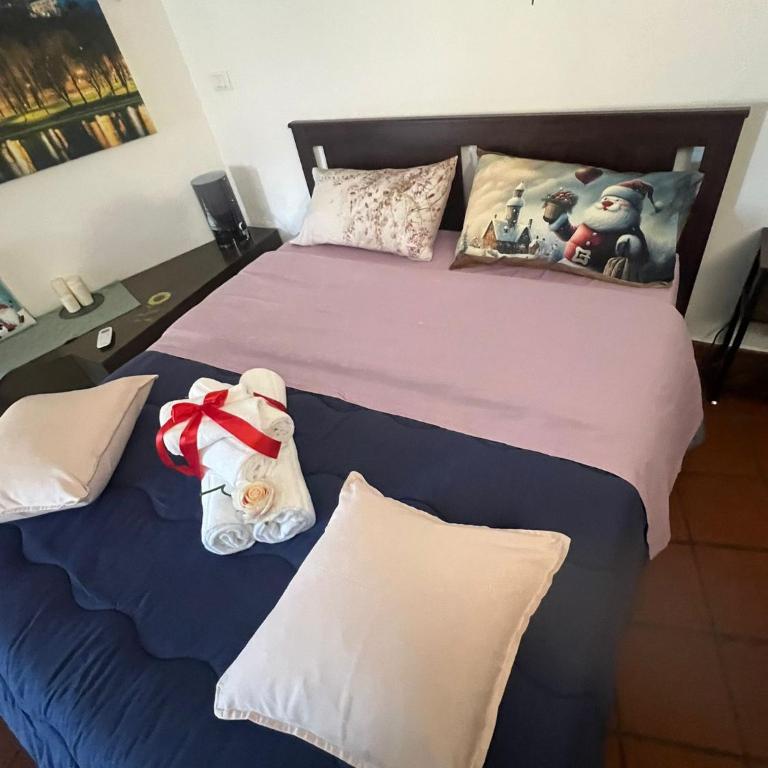[Historic Center] Via Po Apartment - Appartamento con 1 Camera da Letto - 95
