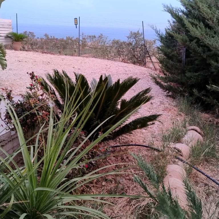 Casa vacanze Abbacari - Casa Vacanze - 71