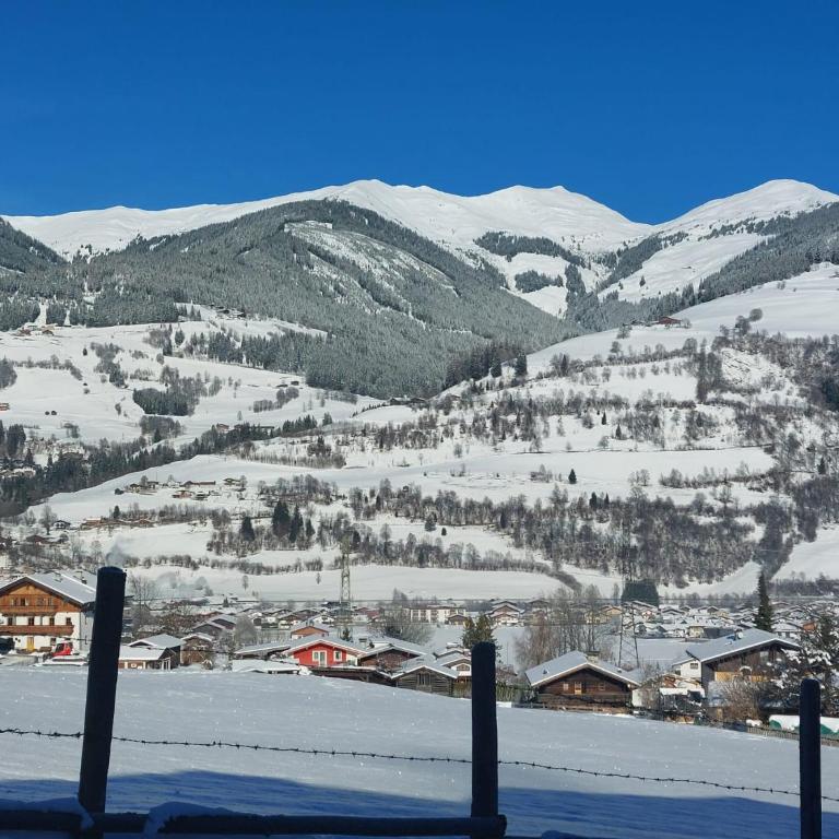 "Opa Sepp" - Gartenwohnung - Apartment mit Blick auf die Berge - 7