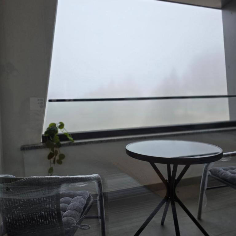 Privatni apartman A37 u sklopu hotela Vucko Jahorina - One-Bedroom Apartment - 12