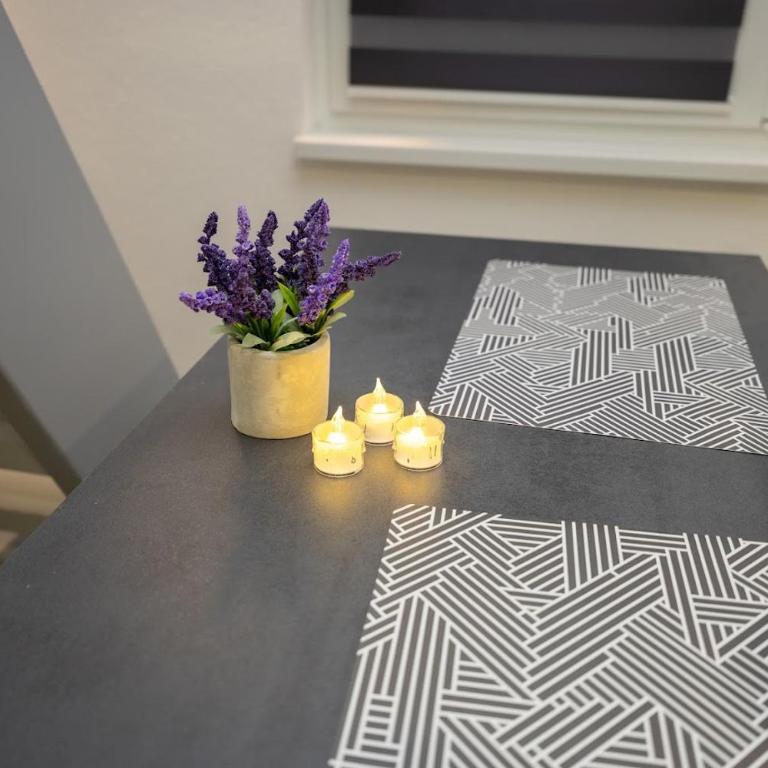 WhiteNest Sarajevo - Apartman sa 1 Spavaćom Sobom - 9