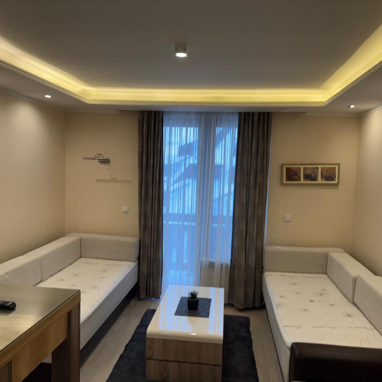 Vila Kopaonik Apartmani Milenkovic - Standardni Trokrevetni Studio - 14