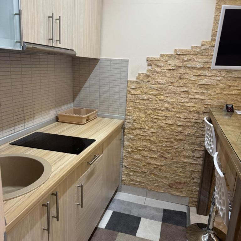 Vila Kopaonik Apartmani Milenkovic - Standardni Trokrevetni Studio - 13