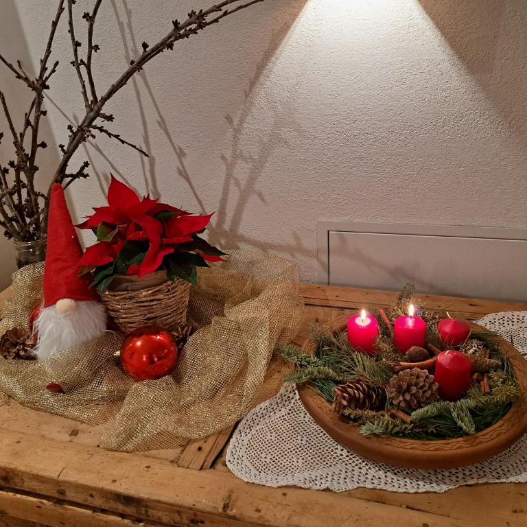 Pignathof Rosacea - Apartment mit 1 Schlafzimmer - 7
