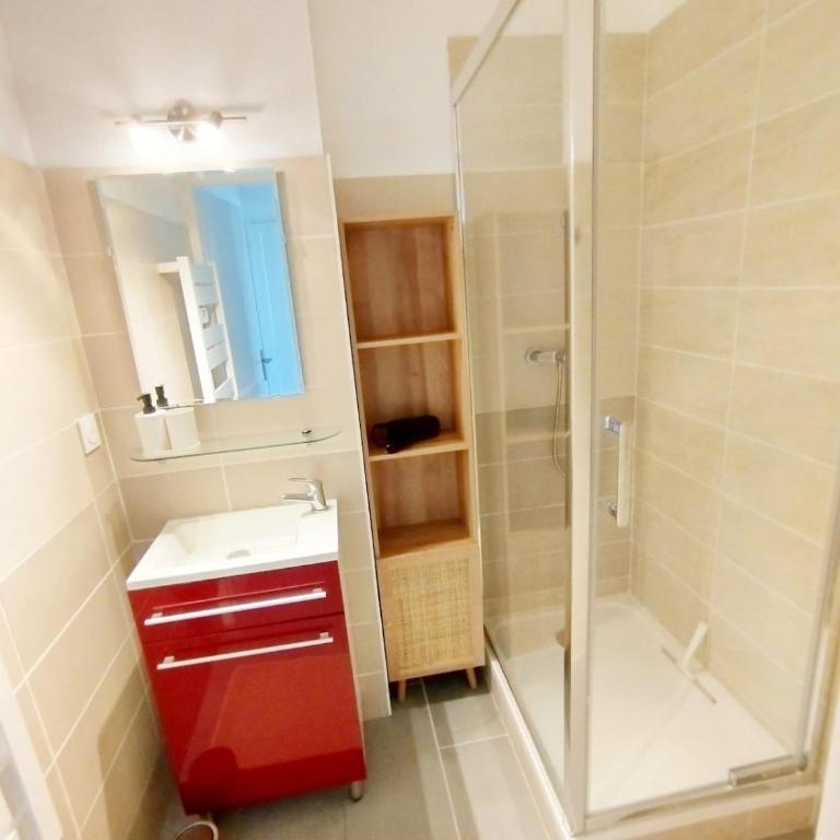 Charmant T 2 climatisé vu sur les quais WIFI - Apartamento de 1 dormitorio - 4