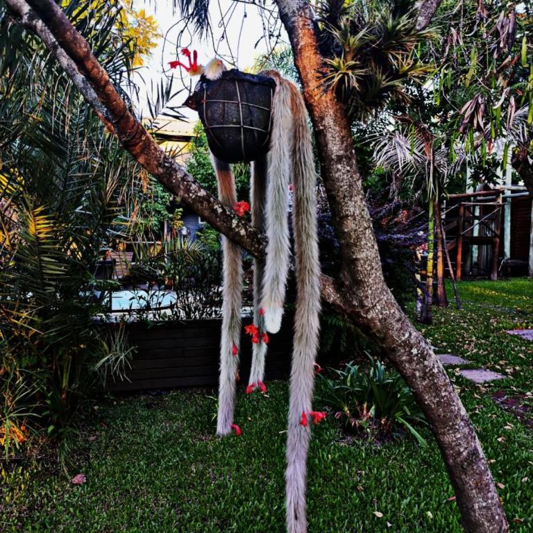 El Mangrullo - Apartamento con vistas a la piscina - 45