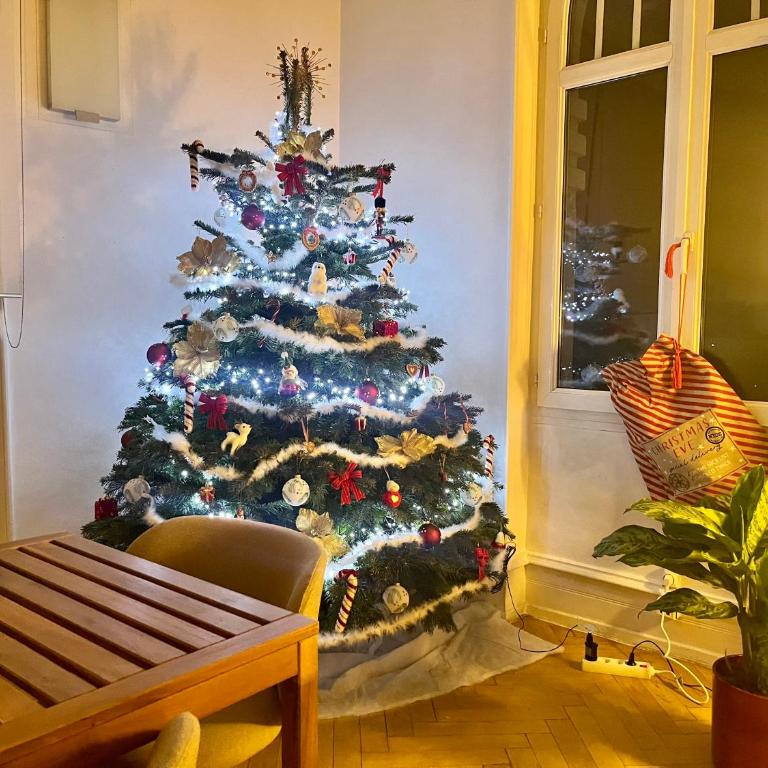 Luxurious central apartment Strasbourg center - Four-Bedroom Luxury Apartment - 26
