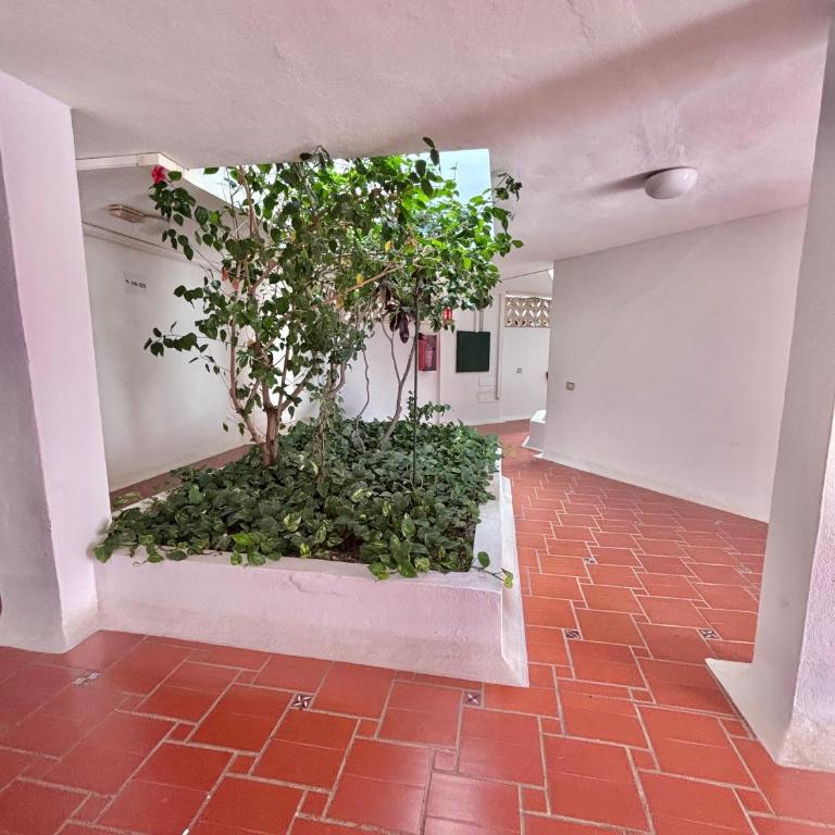 Cindy Golden Bay SeaView Terrace - Apartamento con vistas al mar - 65
