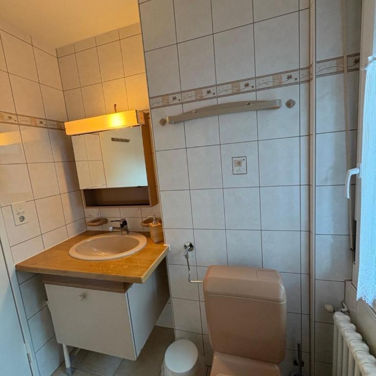 Sonniges Apartment im Zentrum mit Bergblick - Apartment mit 1 Schlafzimmer - 9