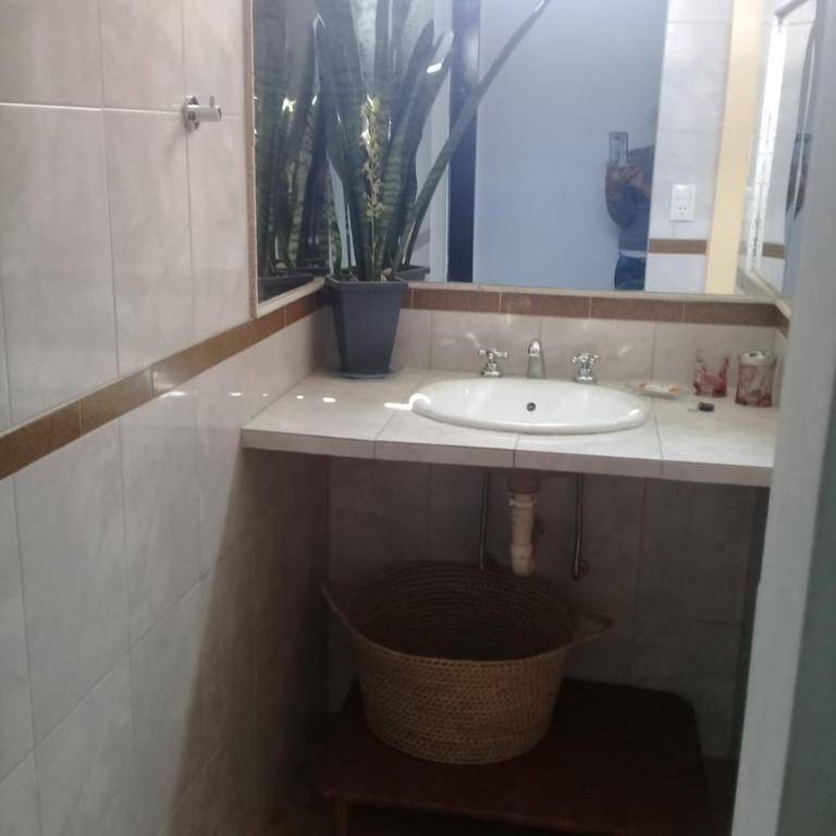 Cactus - Casa con 1 dormitorio - 4