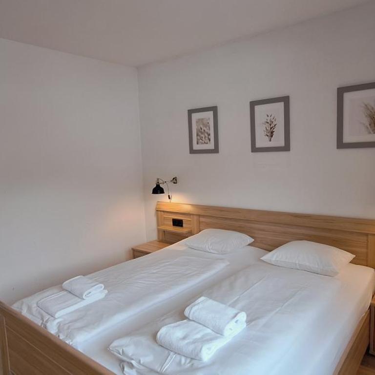 Apartment Inge - downtown Kaprun - Apartment mit Blick auf die Berge - 7