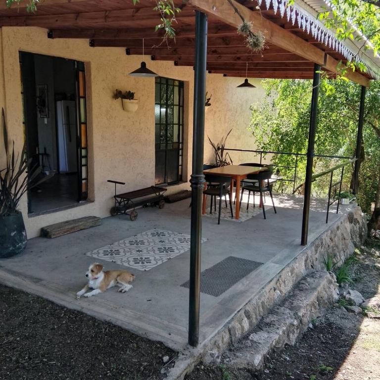 El Chañar - Casa de 2 dormitorios - 11