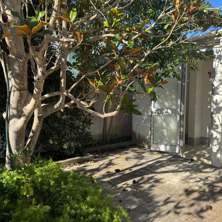 Villa Eleonora - Casa con 2 Camere da Letto - 11
