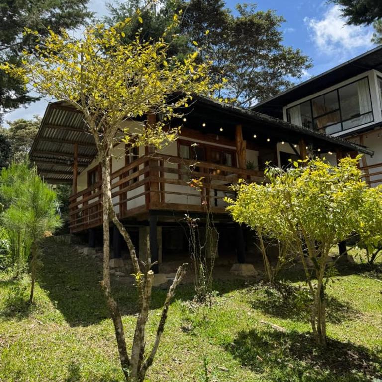 Cabaña con linda vista en Oxapampa - One-Bedroom Chalet - 12