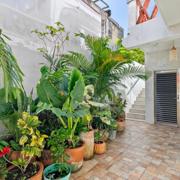 Luna de Plata - One-Bedroom Apartment - 11