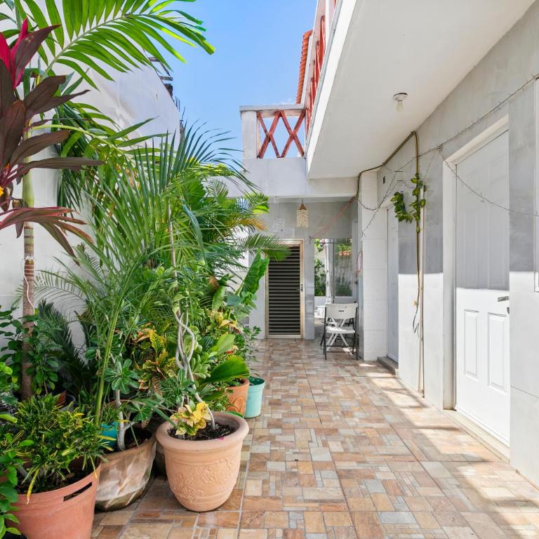 Departamento Jaguar - Apartamento de 2 dormitorios - 13