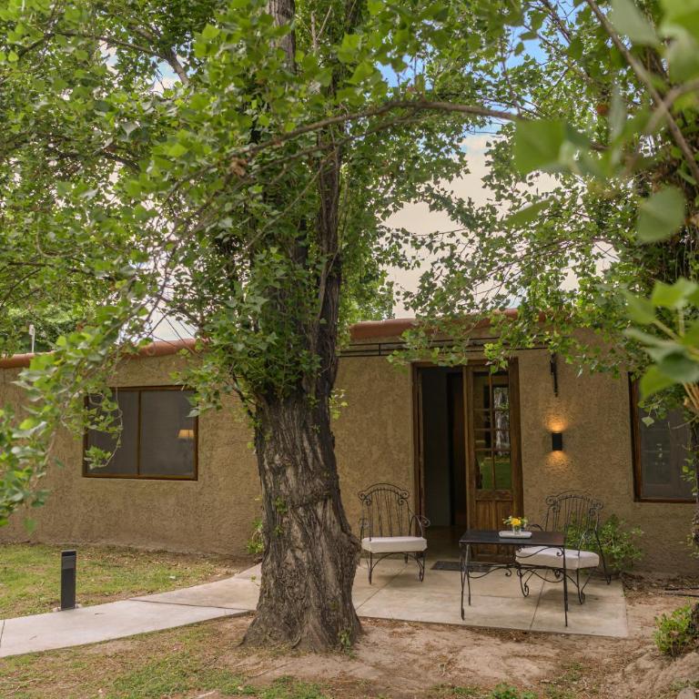 Posada Verde Oliva - Suite Superior - 8