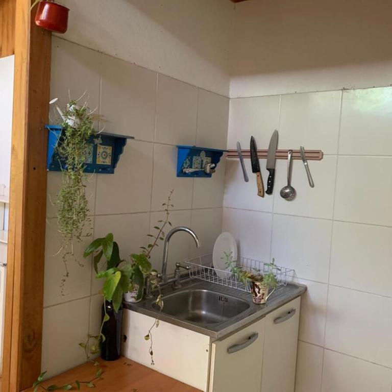 Cabaña con Patio y Árboles - One-Bedroom House - 7