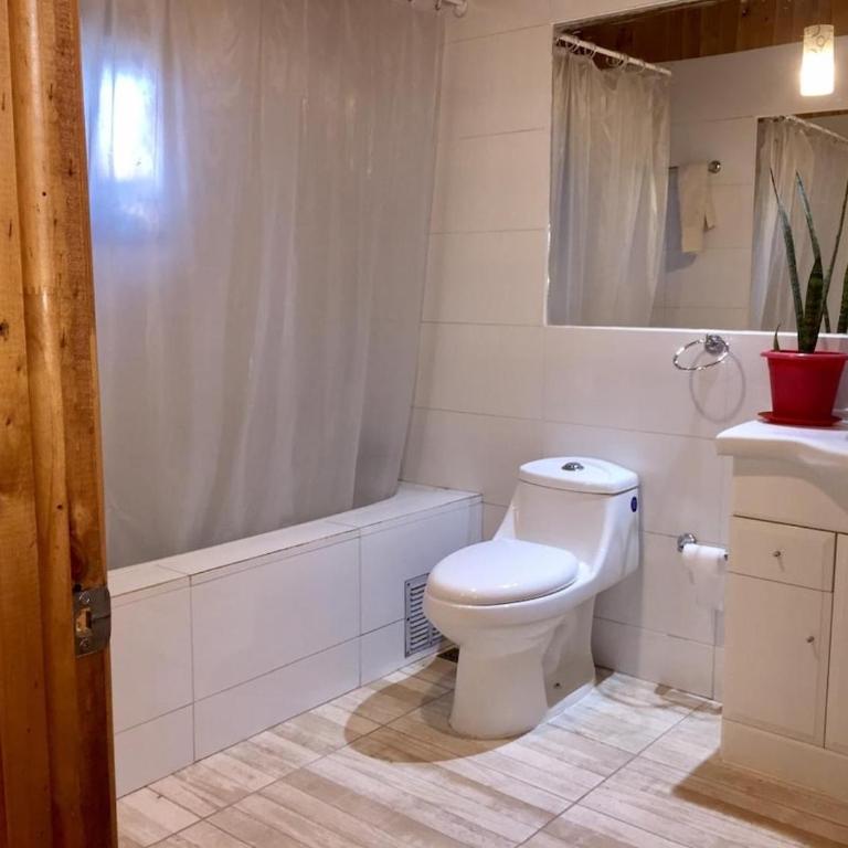 Cabaña con Patio y Árboles - One-Bedroom House - 8