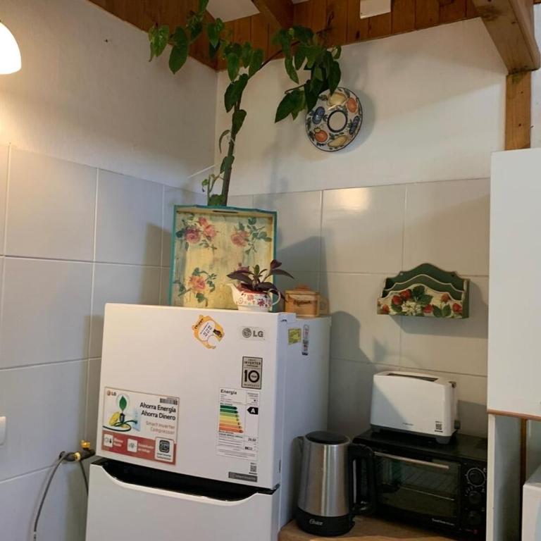 Cabaña con Patio y Árboles - One-Bedroom House - 15