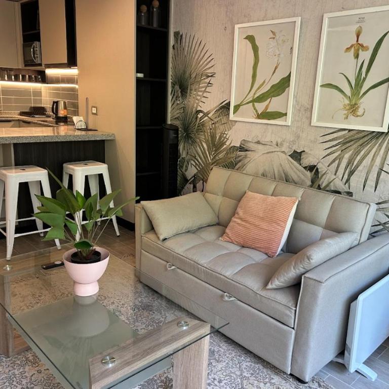 Movistar Arena I 1H1B I Parque Ohiggins - One-Bedroom Apartment - 1