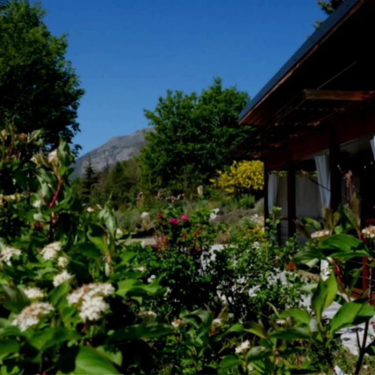 ZEcamping 3 pet friendly restaurant avec une vue panoramique - Three-Bedroom Chalet 2 - Shared Sanitary Facilities - 13