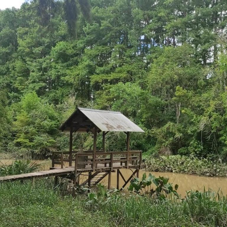Beautiful cabin in Tigre, next to the river - Two-Bedroom House - 6