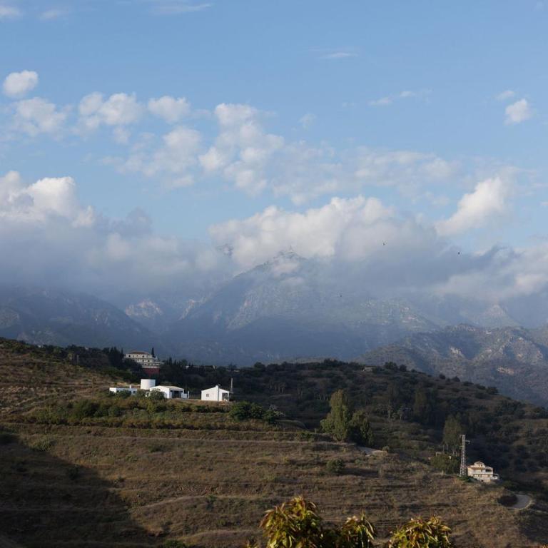 Cortijo de Carmen - Lujo Rustico en el Corazon de la Montaña - Villa - 40