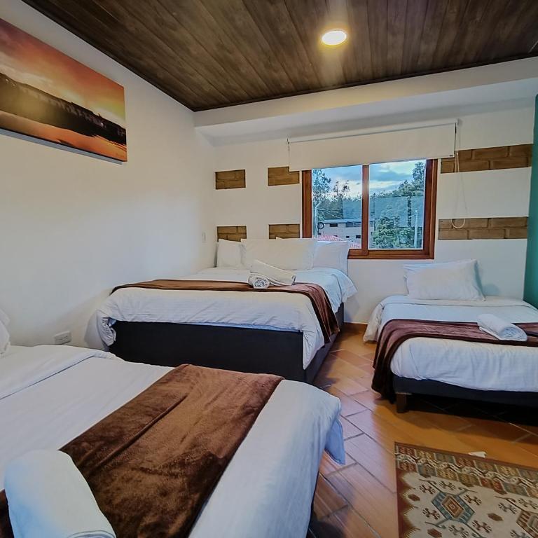 Hotel Pliosaurio Campestre - Habitación Familiar con vistas al jardín - 8