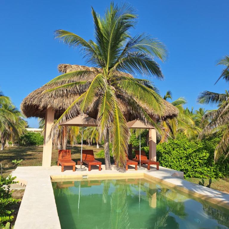 Casa Icaco, Naturaleza y calma junto al mar - Villa - 57