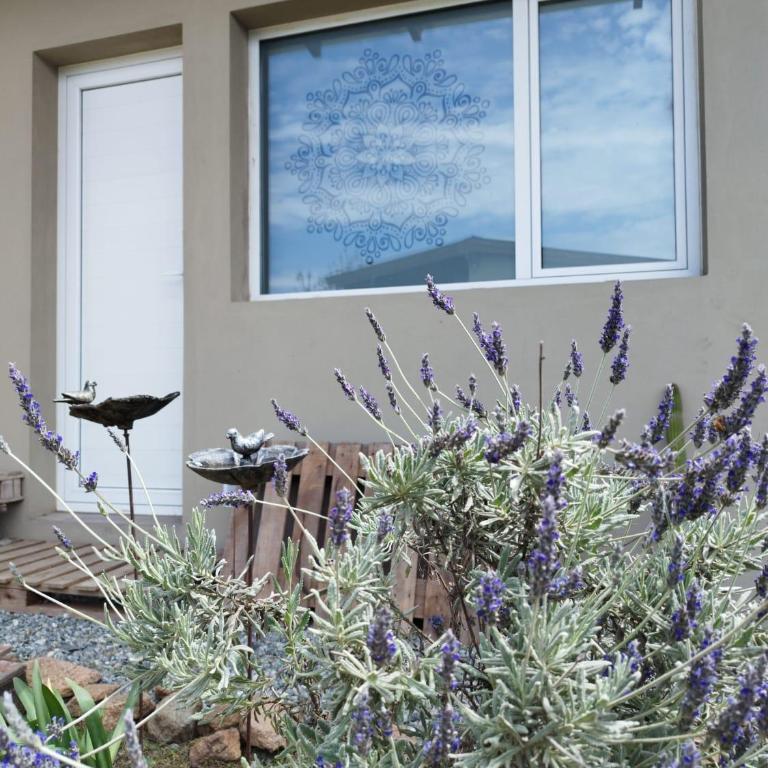 Los Alebrijes - Loft moderno a 10 min del centro - Loft - 14