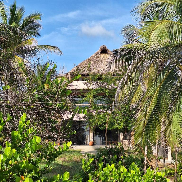Casa Icaco, Naturaleza y calma junto al mar - Villa - 68