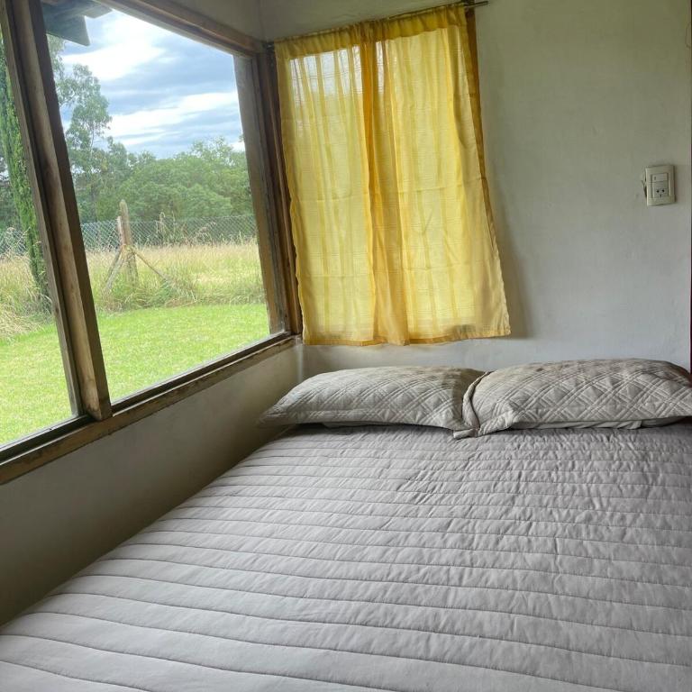 Chapadmalal cabi - One-Bedroom Apartment - 11