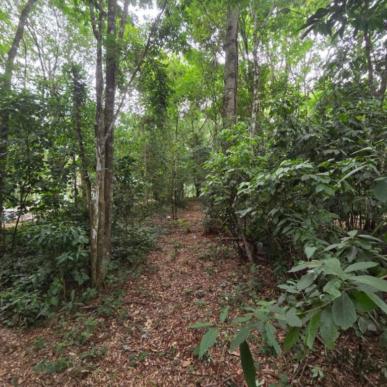 Yvytu Rent Suites - Apartamento de 1 dormitorio - 8