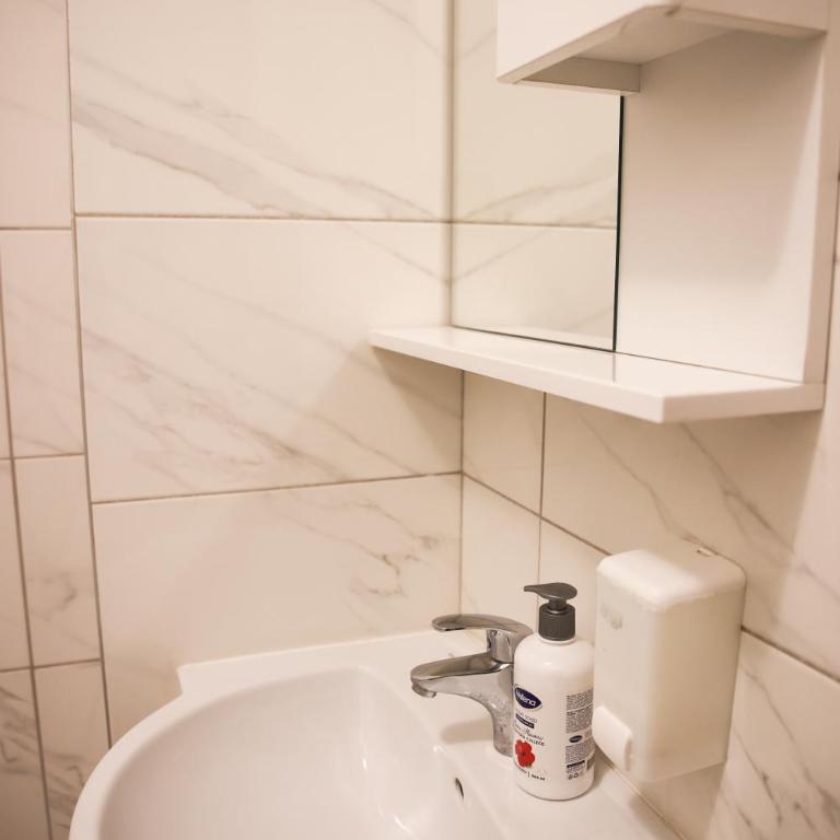 Apartmani Blagojevic - Standard Studio - 18