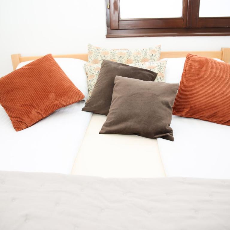 Apartmani Blagojevic - Standard Studio - 5