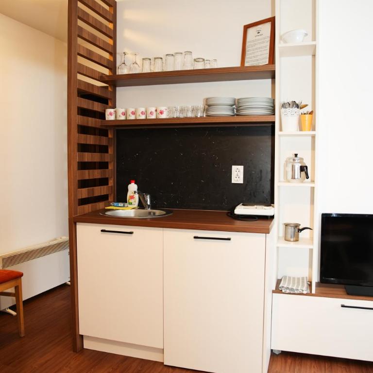 Apartmani Blagojevic - Standard Studio - 14