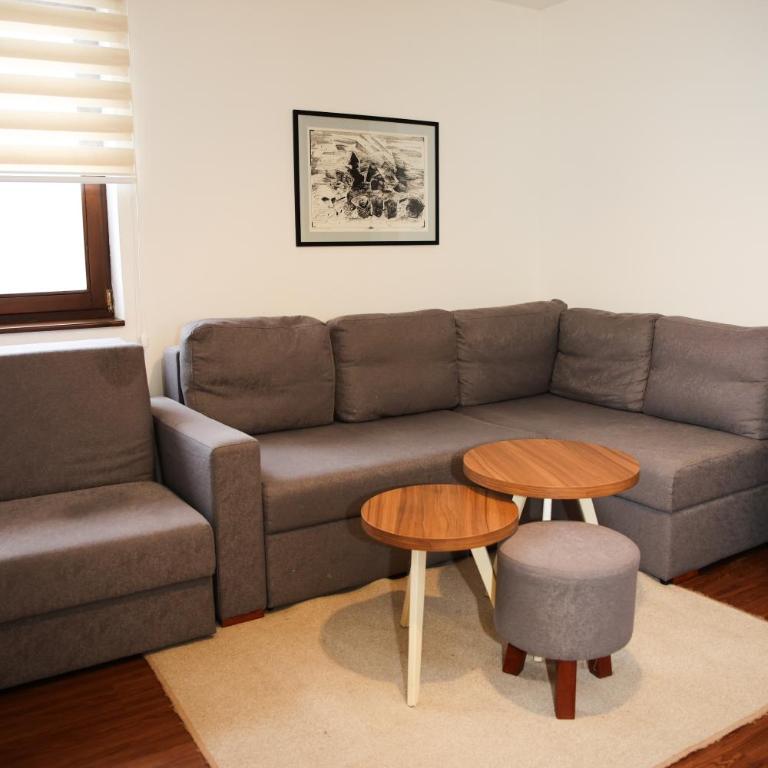 Apartmani Blagojevic - Standard Studio - 15