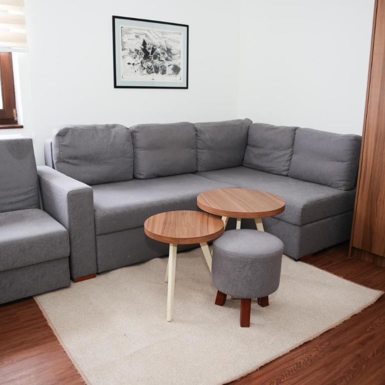 Apartmani Blagojevic - Standard Studio - 16