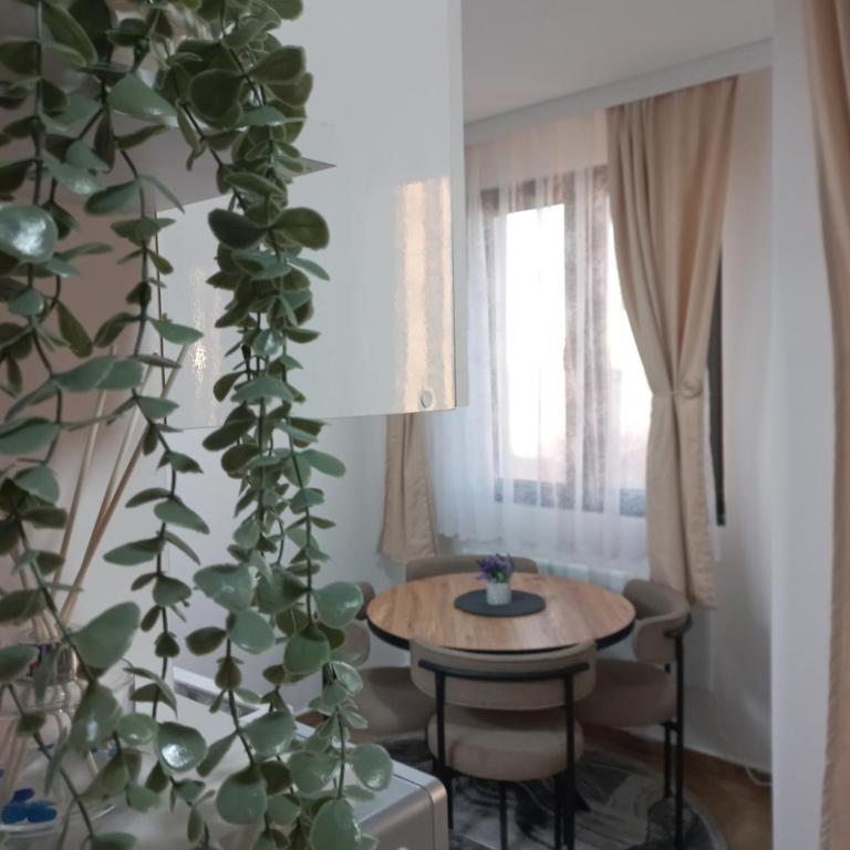 Planinski san - One-Bedroom Apartment - 6