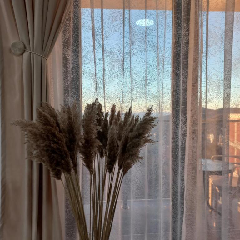Planinski san - One-Bedroom Apartment - 18