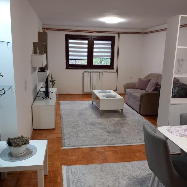 Gradska ljepotica - Apartman sa 1 Spavaćom Sobom - 5