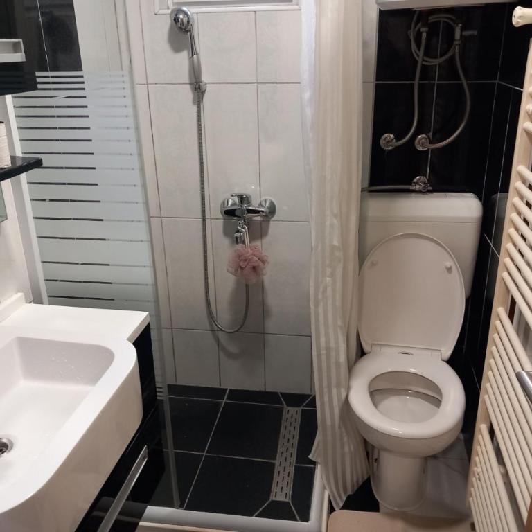 Gradska ljepotica - Apartman sa 1 Spavaćom Sobom - 6