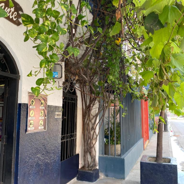Hotel Casa Vieja - Double Room with Fan - 1