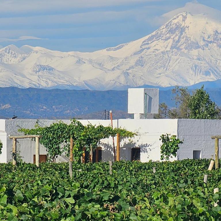 Rincon del Malbec - Chalet Superior - 28
