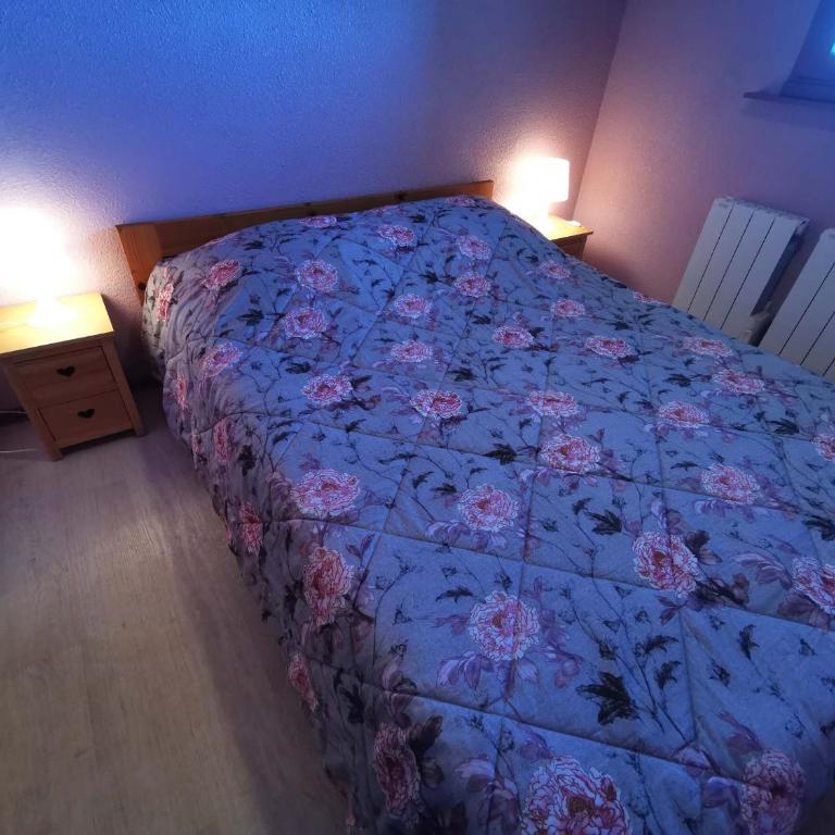 Appart 2 chambres au pied des pistes, balcon et ascenseur - Appartement 2 Chambres - 7